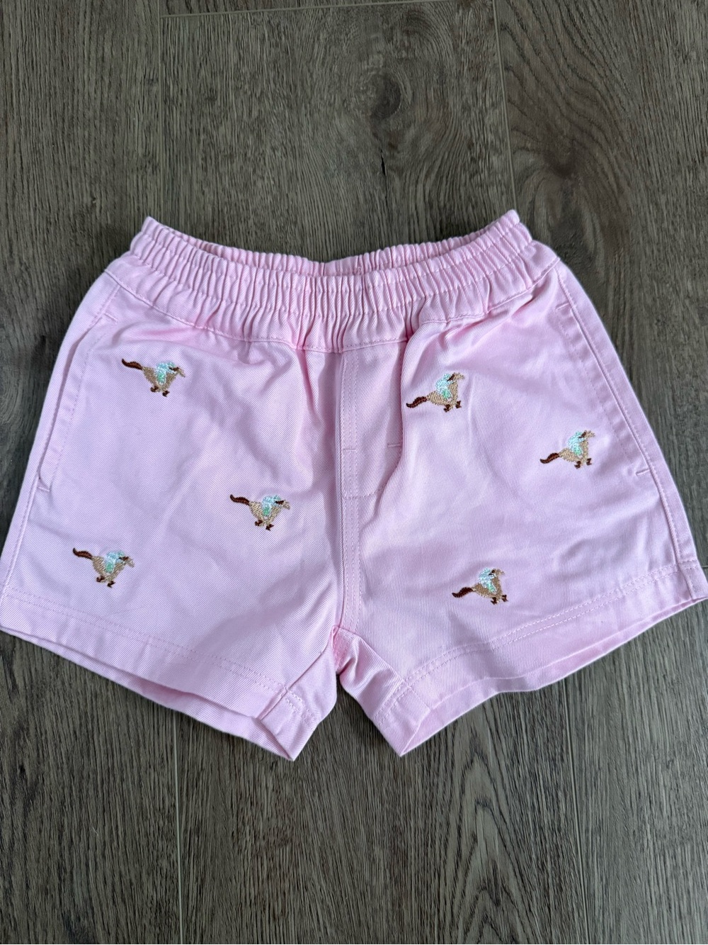 TBBC Critter Sheffield Shorts